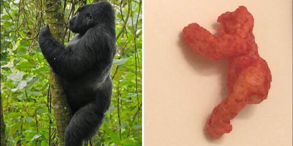 Gokil, Snack Mirip Gorila Ini Dijual Seharga Rp1,3 Miliar