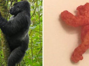 Gokil, Snack Mirip Gorila Ini Dijual Seharga Rp1,3 Miliar 