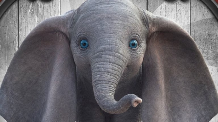 Mau Tahu Hewan Mirip Dumbo di Dunia Nyata?