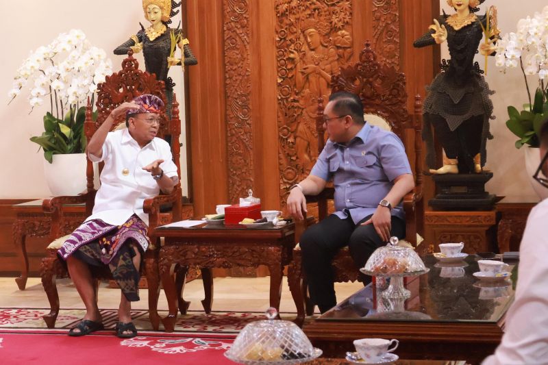 Bali Bakal Kendalikan Investor Asing, Rental Kendaraan dan Villa Bakal Ditertibkan