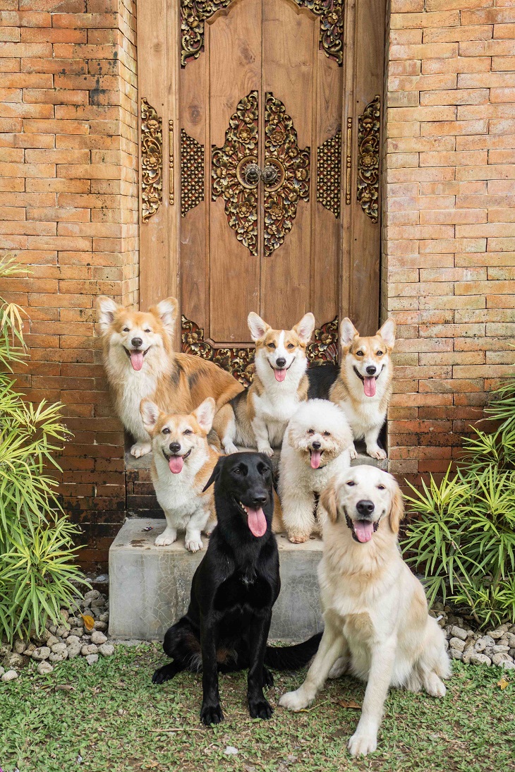 one woolf bali