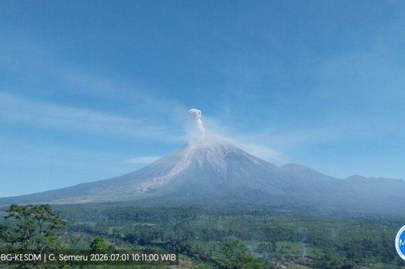 Gunung Semeru 4 Kali Erupsi Memasuki Siang Hari, Tinggi Letusan Terus Meningkat hingga 1 Km