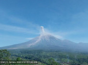 Gunung Semeru 4 Kali Erupsi Memasuki Siang Hari, Tinggi Letusan Terus Meningkat hingga 1 Km