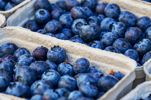 Cara Mudah Awet Muda: Makan Blueberry