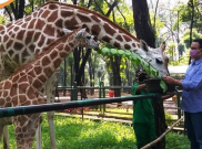 50 Satpol PP Bakal Awasi Protokol Kesehatan di Ragunan