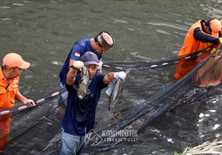 Ikan Sapu-Sapu Langsung Dihancurkan, Wali Kota Jakpus: Agar tak Disalahgunakan