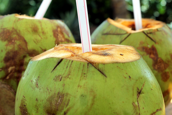 Kelapa, Makanan Alternatif untuk si Kecil