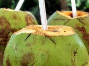 Kelapa, Makanan Alternatif untuk si Kecil