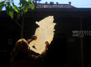 KLB Keracunan Massal Makanan Pentas Wayang Kulit, Ratusan Orang Jadi Korban