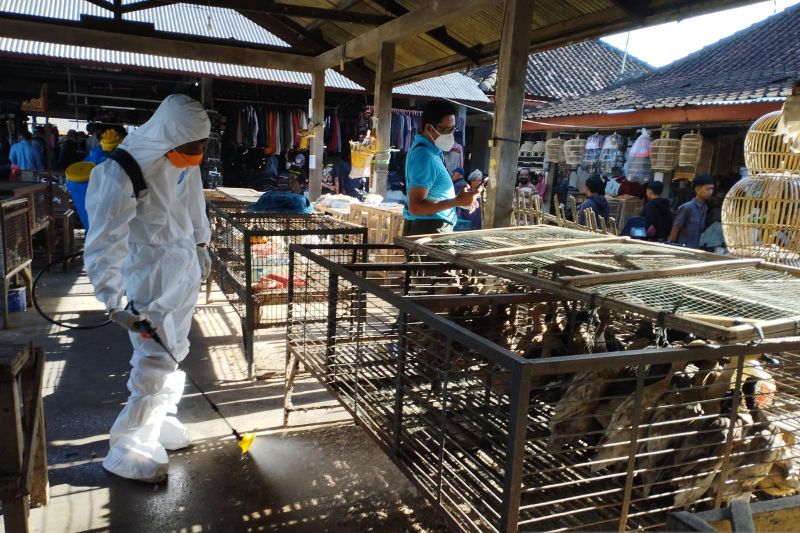 Ratusan RS Disiagakan Hadapi Flu Burung