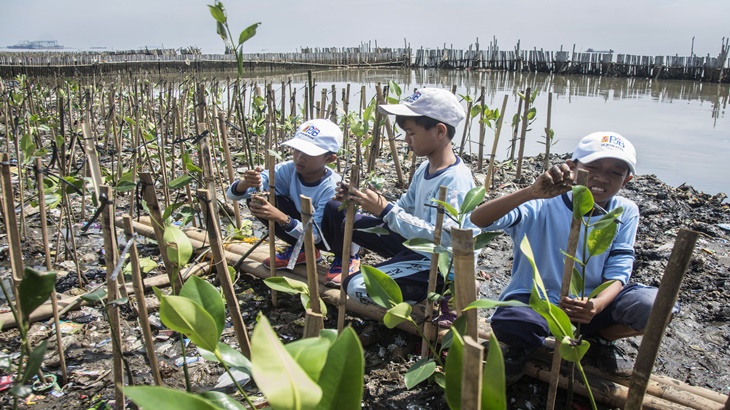 LIPI Dukung Surabaya Bangun Kebun Raya Mangrove Pertama di Asia