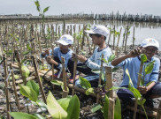 LIPI Dukung Surabaya Bangun Kebun Raya Mangrove Pertama di Asia 