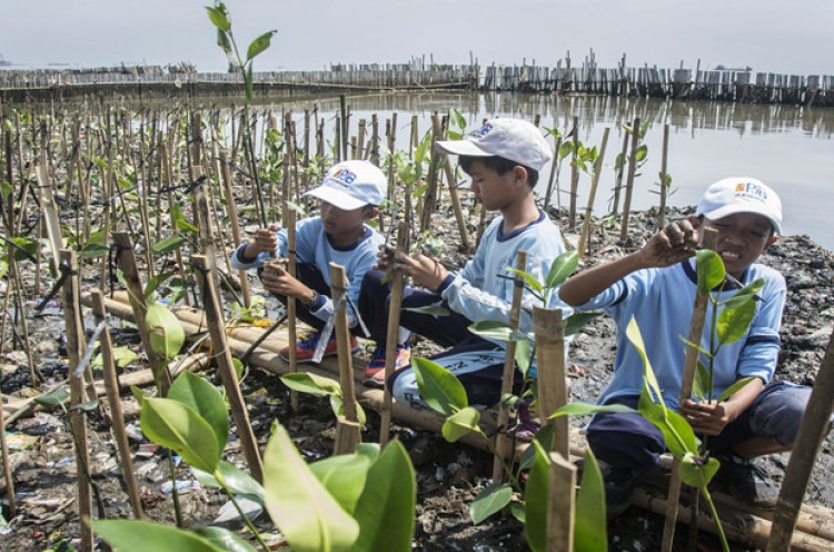 LIPI Dukung Surabaya Bangun Kebun Raya Mangrove Pertama di Asia 