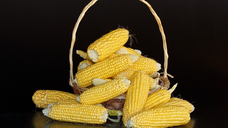 Nutrisi Mengagumkan dalam Sebonggol Jagung