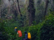 Cuaca Ekstrem, Jalur Pendakian Gunung Arjuno-Welirang Ditutup