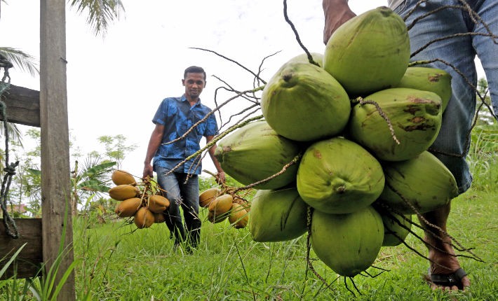 Bulan Ramadan Berkah Bagi Pedagang Kelapa Muda