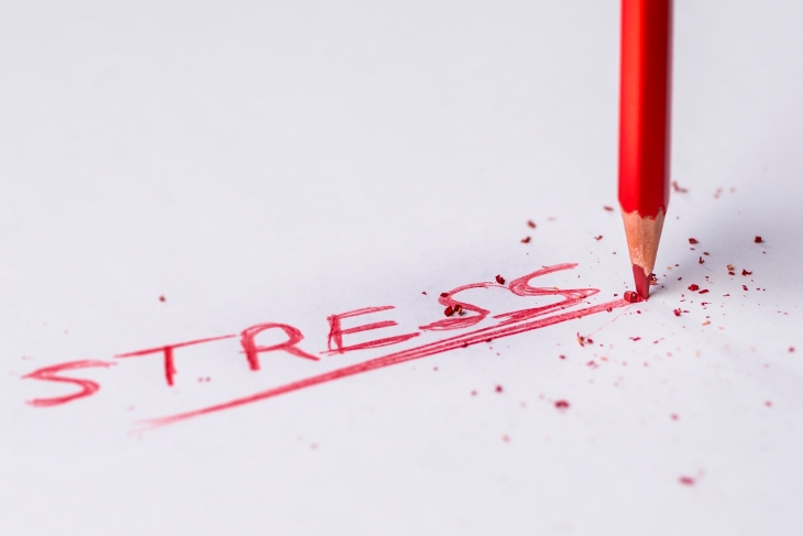 Hindarkan stress (Foto: Pedro Figueras)