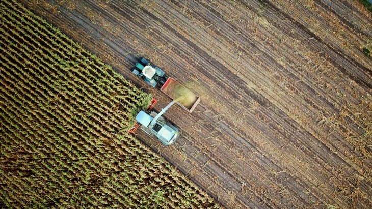 4 Hal Penting dalam Mengembangkan Agrikultural Secara Digital