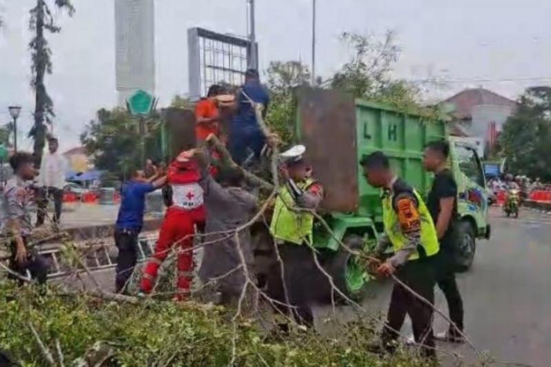Pohon Alun-Alun Tumbang Saat Salat Idul Fitri: Korban 19 Jemaah, 2 Orang Tewas