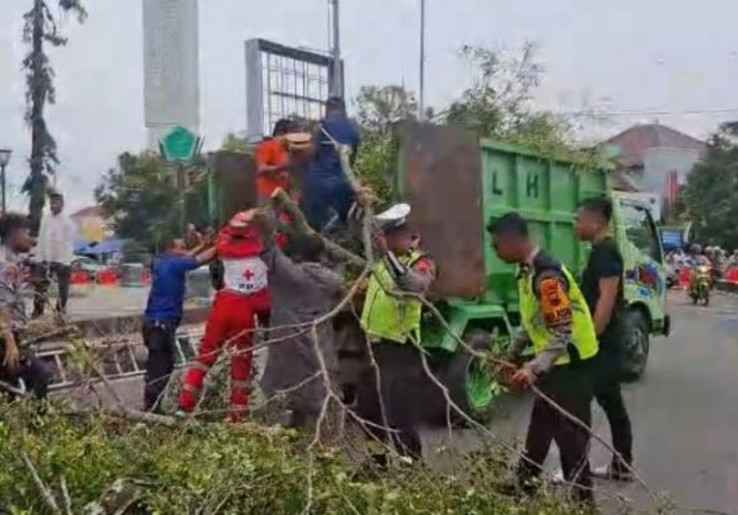 Pohon Alun-Alun Tumbang Saat Salat Idul Fitri: Korban 19 Jemaah, 2 Orang Tewas