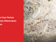 Lukisan Gua Tertua Indonesia Ditemukan di Maros