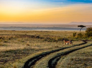 Kenya, Destinasi Wisata yang Mulai Dilirik Banyak Orang
