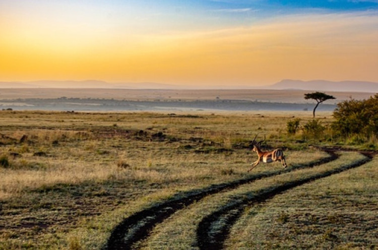 Kenya, Destinasi Wisata yang Mulai Dilirik Banyak Orang