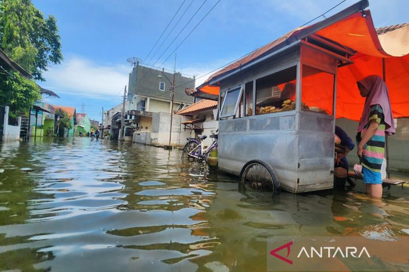 Utara Kota Semarang Sudah Sepekan Digenangi Banjir, BNBP Fokus Sedot Air di Sumber Masalah
