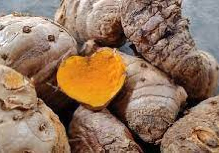 Kahasiat Temulawak Bisa Kurangi Gejala Pencernaan