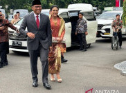 Pemerintah Impor Ribuan Sapi Perah Dari Australia, Susu Sapi Dalam Negeri Untuk Program Makan Bergizi Gratis 