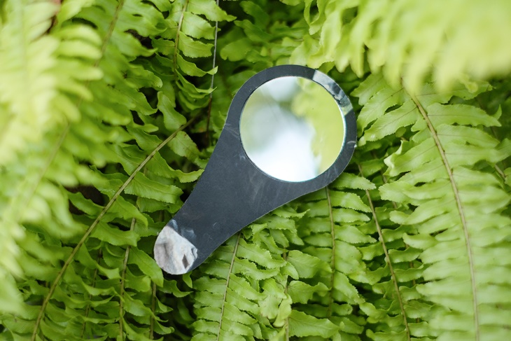 pocket mirror