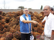 Zulhas Dilaporkan ke Bawaslu