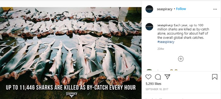 ikan