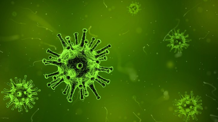 4 Fakta Parasit Toxoplasma Gondii dapat Mengontrol Pikiran