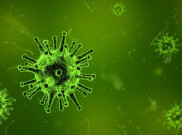 4 Fakta Parasit Toxoplasma Gondii dapat Mengontrol Pikiran