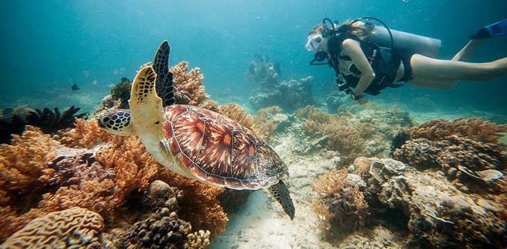 Resolusi Liburan? Yuk Kepoin Waktu Terbaik Berwisata Selama Januari-Juni!
