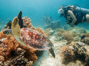 Resolusi Liburan? Yuk Kepoin Waktu Terbaik Berwisata Selama Januari-Juni!