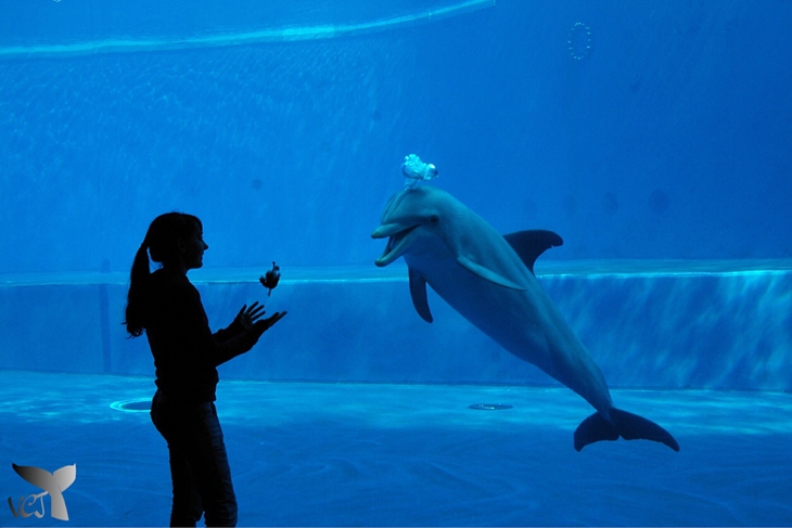 Aquarium of Genoa. (Foto: instagram.com/vcj.photography)