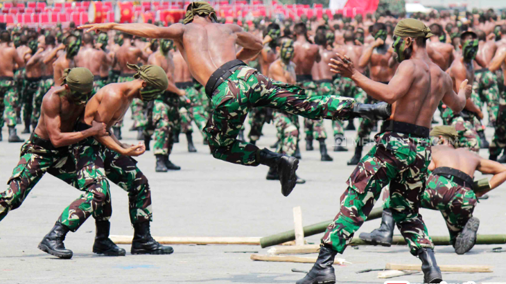 Pengamat Politik: TNI Jangan Sampai Buta Politik