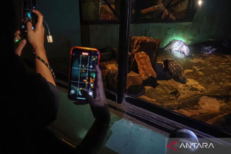 Wisata Malam Ragunan, DPRD Minta Pemprov DKI Sediakan Alternatif Angkutan Murah untuk Warga