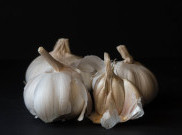 4 Bahan Alami yang dapat Percepat Penyembuhan Luka