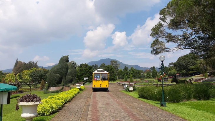 Wisata Taman Bunga Nusantara, Cianjur, Jawa Barat Dibuka Kembali