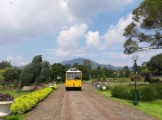 Wisata Taman Bunga Nusantara, Cianjur, Jawa Barat Dibuka Kembali