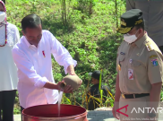 Jokowi Pimpin Prosesi Penyatuan Tanah-Air IKN Nusantara, Simak Urutan Ritualnya