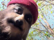 Phum Viphurit Lanjutkan Perjalanan dengan Melepas Video Musik 'Balter Baby'