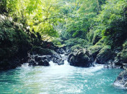 Ketika Petualangan dan Panorama Hijau Bertemu di Green Canyon Pangandaran