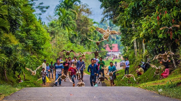 Orang setelah melepas itik terbang. (Instagram/@west.sumatra.tourism)