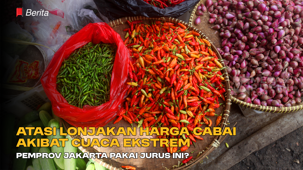 Atasi Lonjakan Harga Cabai Akibat Cuaca Ekstrem, Pemprov Jakarta Pakai Jurus Ini?