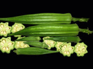 Manfaat Okra untuk Penderita Diabetes