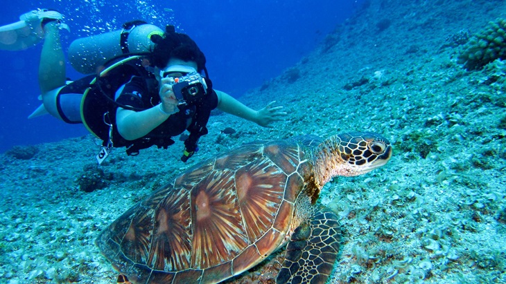 Spot Menyelam Ini Memilki Keindahan Bawah Laut yang Tak Biasa